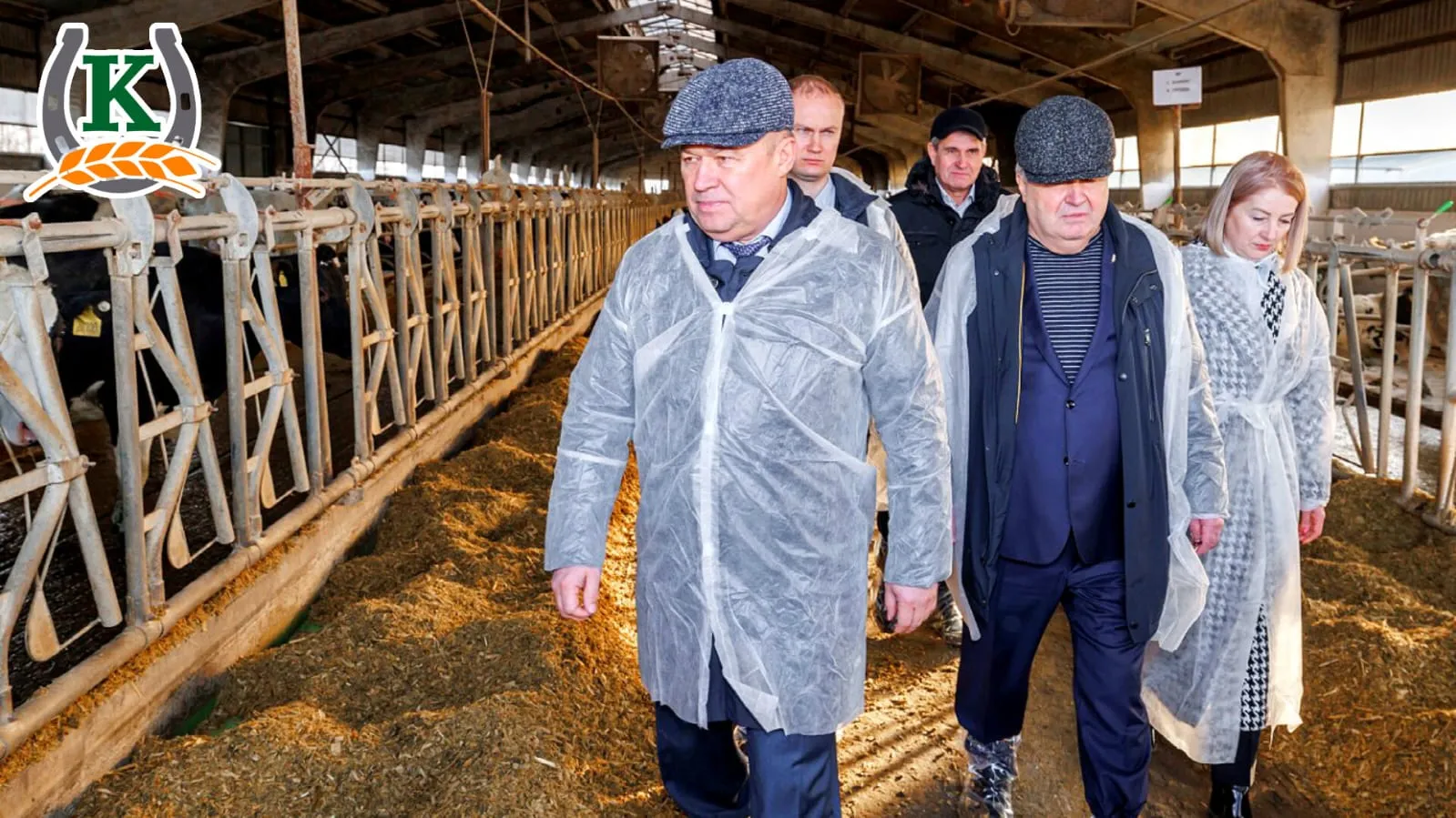 WhatsApp Image 2023-01-18 at 12.37.27.jpeg