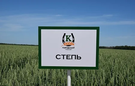 Степь