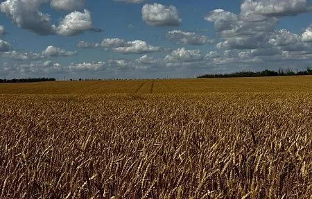 Поехали......!