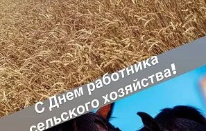 Дорогие труженики и ветераны сельского хозяйства!