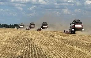 Завершаем уборку нута.