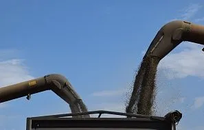 Уборка подсолнечника