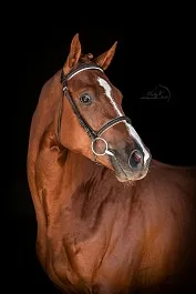 ПАРАГВАЙ (Вольфрам-Познань-Заслон)