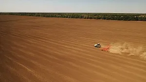 Растениеводство