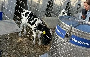 Один день из жизни предприятия