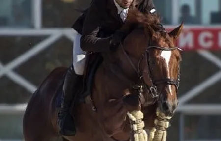 Вольфрам (Телец-Тарино-Эх-Ма), 2004 г.р., свежее семя: 40 000,- руб.