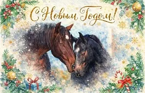 С Новым 2026 Годом!