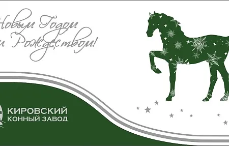 С Новым годом и Рождеством!