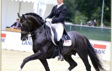 Christ (Competent-Picard-Daimyo xx-Asiate), 2005 г.р.Замороженное семя.