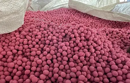 Приступили к севу гороха