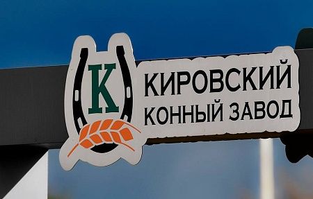 Приглашаем любителей конного спорта