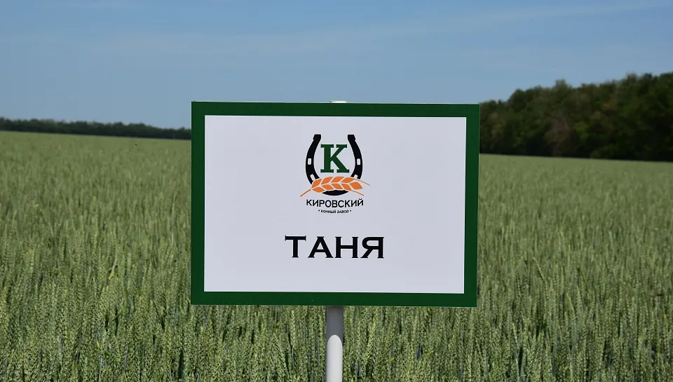 Порно фото порталдар галереясы нейлон колготки